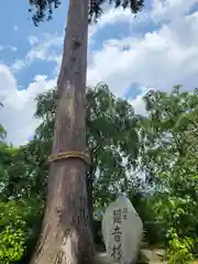 観音寺(京都府)