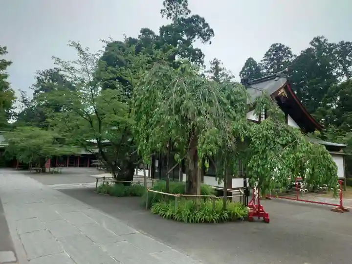 志波彦神社・鹽竈神社(宮城県)