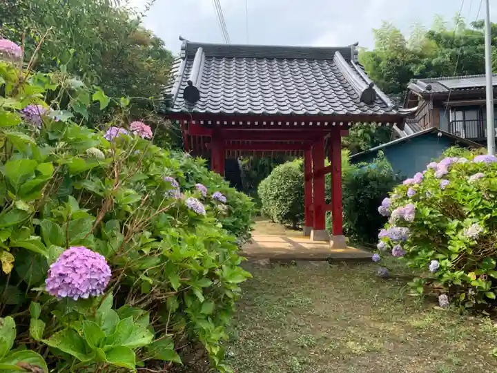 妙照寺の山門・神門
