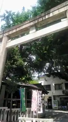 鳥越神社の鳥居