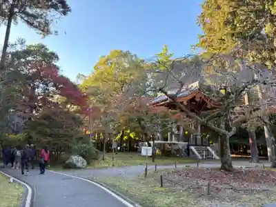 醍醐寺(京都府)