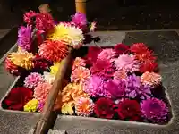 高司神社〜むすびの神の鎮まる社〜(福島県)