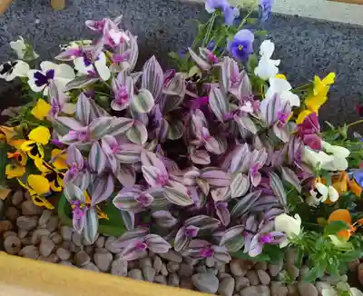 中嶋神社の手水舎
