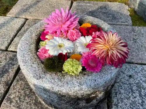 勝林寺(京都府)