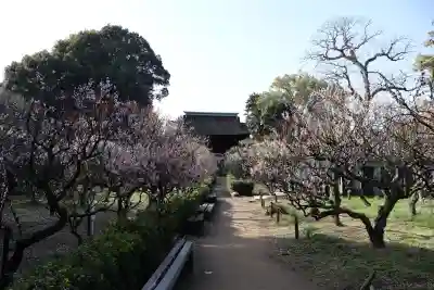 道明寺天満宮の{uncategorized: "未分類", other: "その他", undefined: "問題あり", building: "その他建物", grave: "お墓", sacred_gate: "鳥居", guardian: "狛犬", statue: "像", buddha: "仏像", history: "歴史", nature: "自然", garden: "庭園", animal: "動物", pagoda: "塔", temizu: "手水舎", mountain_gate: "山門・神門", sanctuary: "本殿・本堂", subordinate: "末社・摂社", art: "芸術", scenery: "景色", jizo: "地蔵", ema: "絵馬", goshuin: "御朱印", omikuji: "おみくじ", items: "授与品その他", amulet: "お守り", goshuincho: "御朱印帳", eats: "食事", festival: "お祭り", votive_dance: "神楽", shichigosan: "七五三参", wedding: "結婚式", experience: "体験その他", initially: "初詣", around: "周辺", anti_infection: "感染症対策"}