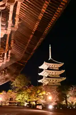 東寺（教王護国寺）(京都府)