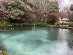 富士山本宮浅間大社(静岡県)