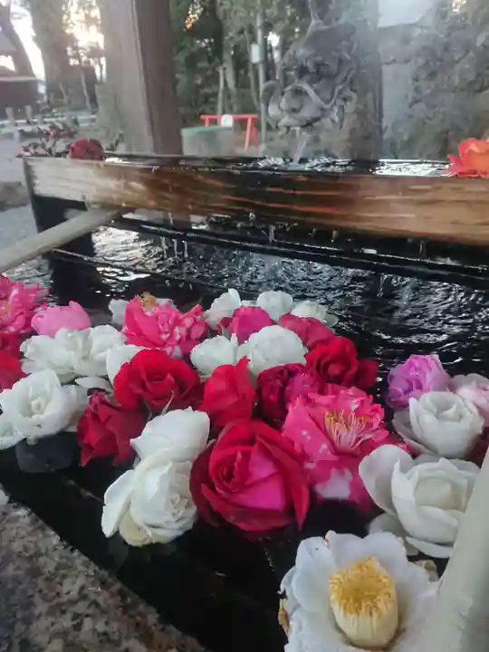 玉村八幡宮の手水舎