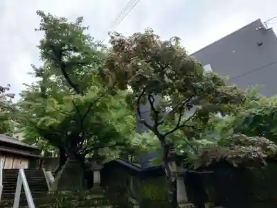 紅葉八幡宮(福岡県)
