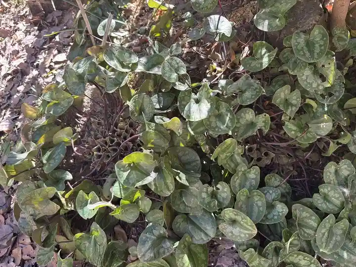 本興寺(静岡県)