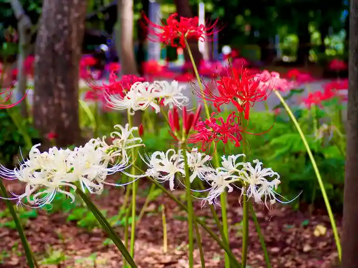 祖光院(千葉県)