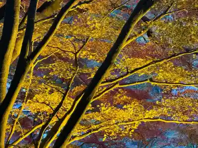 秩父御嶽神社(埼玉県)