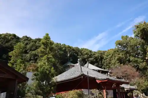 観音寺の建物その他