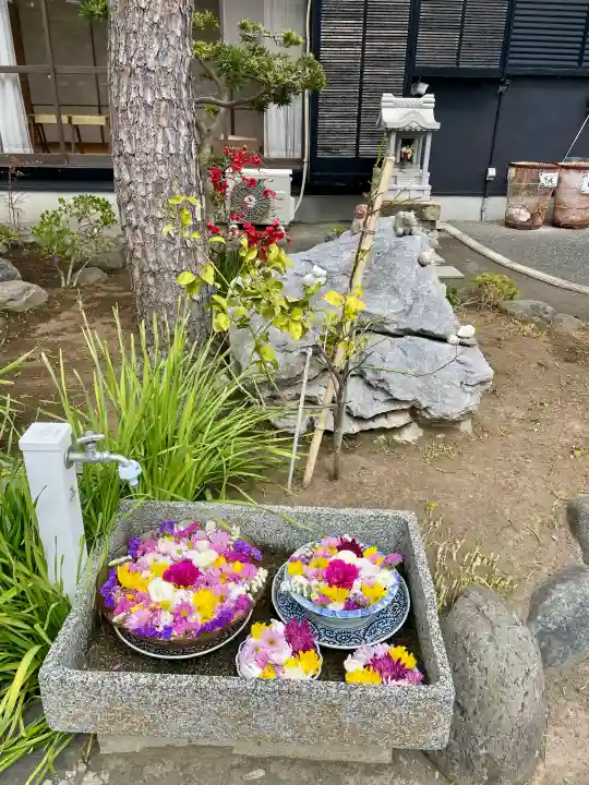 勧行寺の{uncategorized: "未分類", other: "その他", undefined: "問題あり", building: "その他建物", grave: "お墓", sacred_gate: "鳥居", guardian: "狛犬", statue: "像", buddha: "仏像", history: "歴史", nature: "自然", garden: "庭園", animal: "動物", pagoda: "塔", temizu: "手水舎", mountain_gate: "山門・神門", sanctuary: "本殿・本堂", subordinate: "末社・摂社", art: "芸術", scenery: "景色", jizo: "地蔵", ema: "絵馬", goshuin: "御朱印", omikuji: "おみくじ", items: "授与品その他", amulet: "お守り", goshuincho: "御朱印帳", eats: "食事", festival: "お祭り", votive_dance: "神楽", shichigosan: "七五三参", wedding: "結婚式", experience: "体験その他", initially: "初詣", around: "周辺", anti_infection: "感染症対策"}