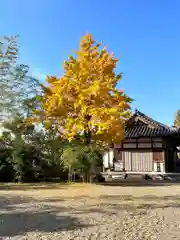 大安寺(奈良県)