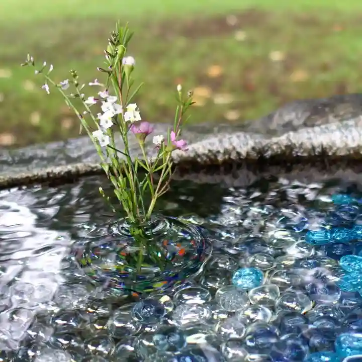 帯廣神社の手水舎