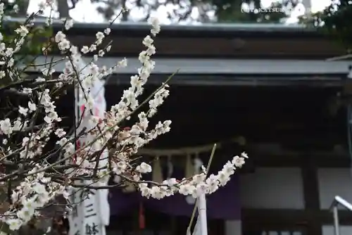 永谷天満宮(神奈川県)