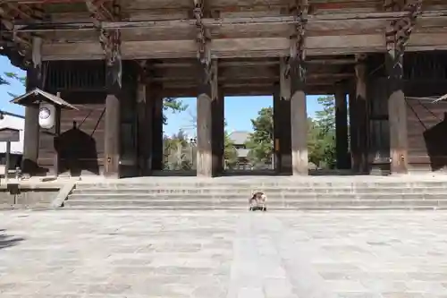 東大寺 法華堂（三月堂）の山門・神門