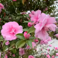 豊景神社の自然