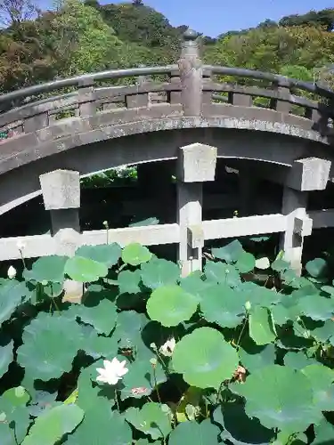 鶴岡八幡宮のその他建物