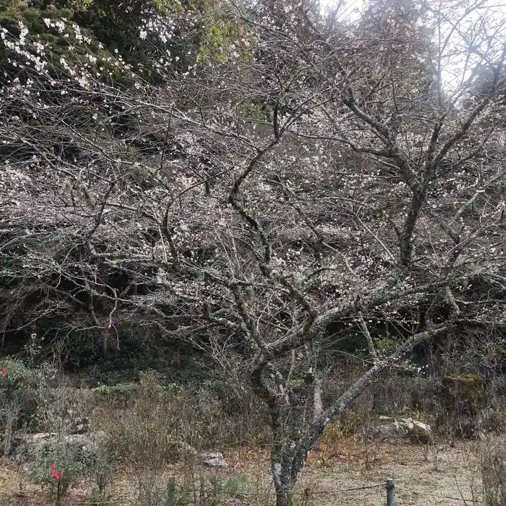 正宗寺(愛知県)