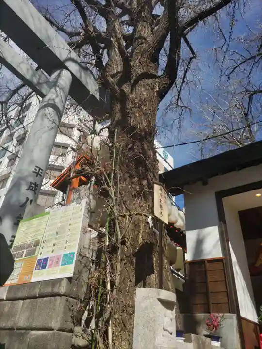 波除神社(波除稲荷神社)(東京都)