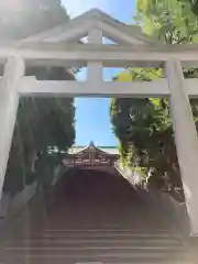 日枝神社の鳥居