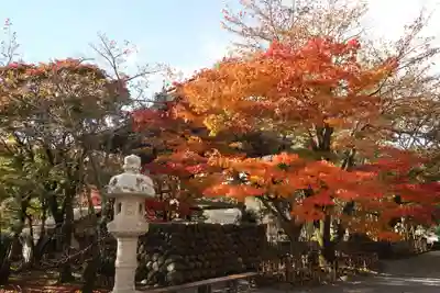 修禅寺(静岡県)