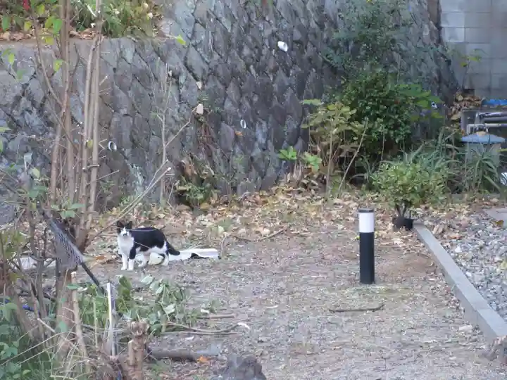白金氷川神社(東京都)
