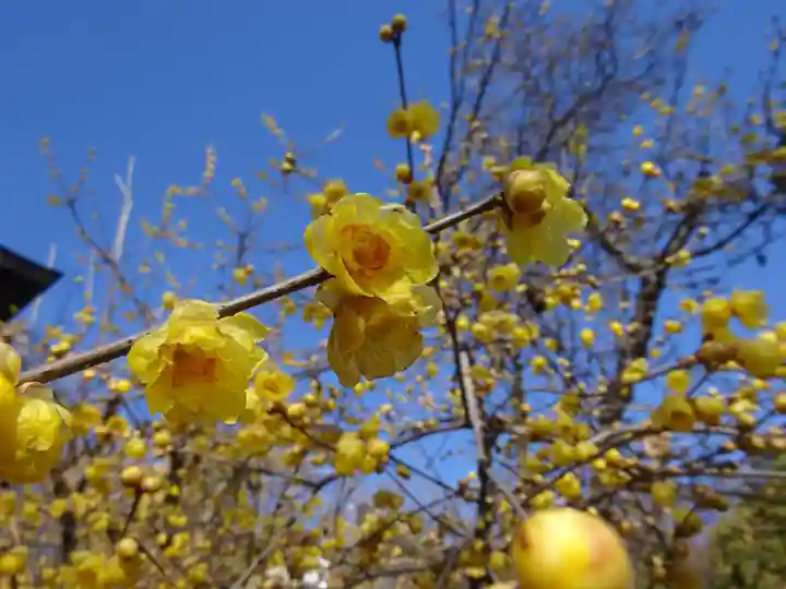横浜 西方寺(神奈川県)