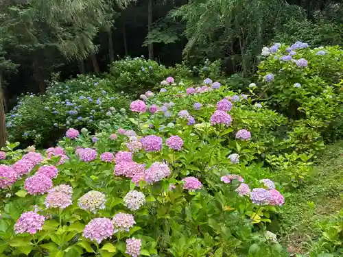 熊谷寺(徳島県)