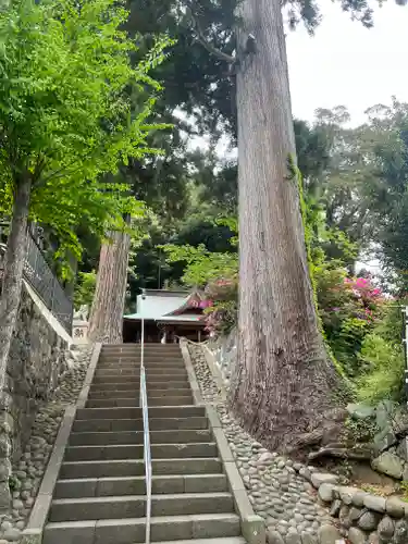 日枝神社(静岡県)