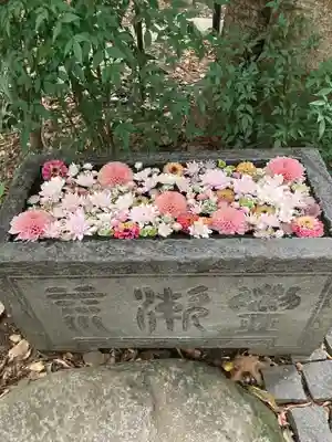 行田八幡神社(埼玉県)