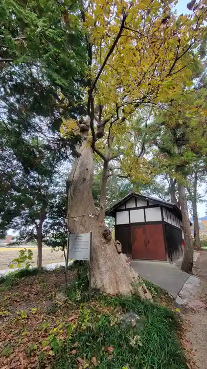 天満神社(愛媛県)