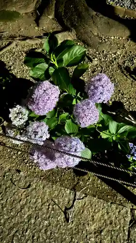 大善院(東京都)