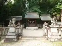 神明社(小坂神明社)(愛知県)