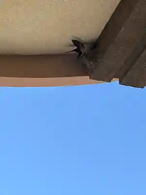 防府天満宮(山口県)