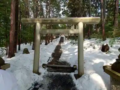 眞名井神社(籠神社奥宮)の鳥居