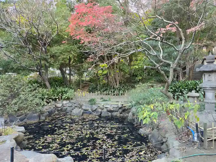 光傅寺(光伝寺)(大阪府)