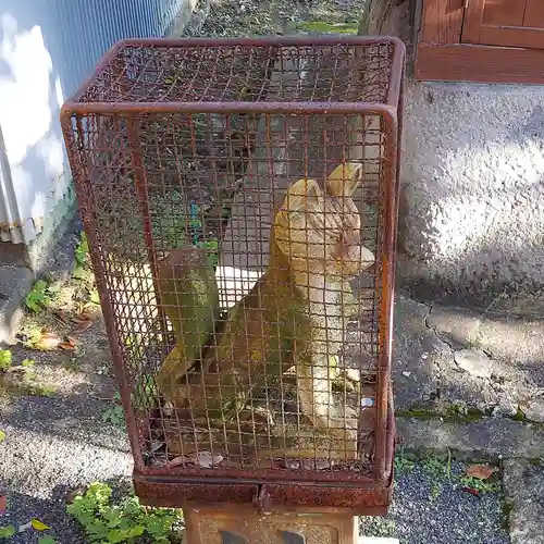 西宮神社（本町）の狛犬