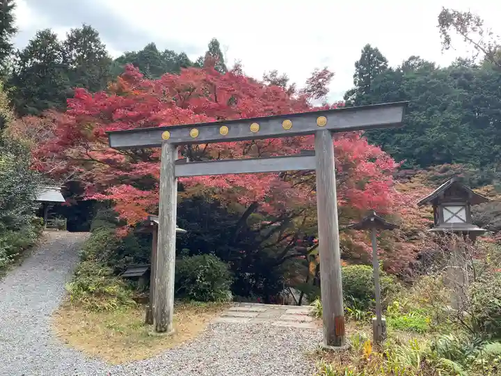 日向大神宮(京都府)
