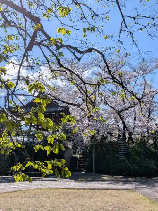 福蔵院(東京都)