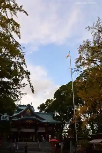 多摩川浅間神社の本殿・本堂