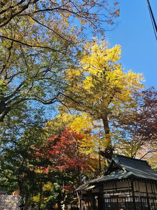 調神社(埼玉県)
