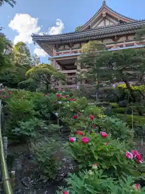 東長谷寺　薬王院(東京都)