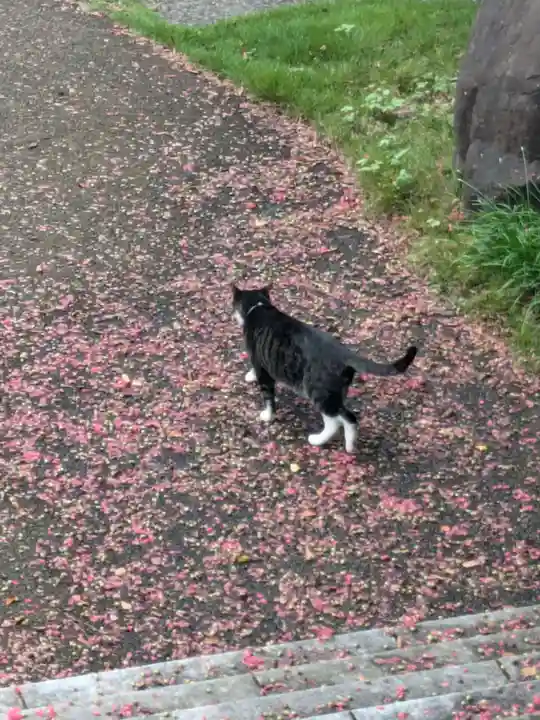 宝蔵院(東京都)