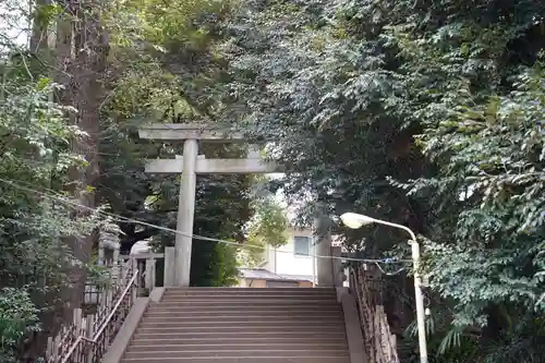 渋谷氷川神社の鳥居