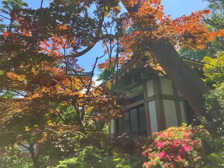 正覚院(東京都)