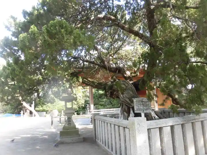 高砂神社のその他建物