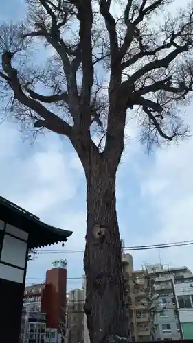 北海道東本願寺会館の自然